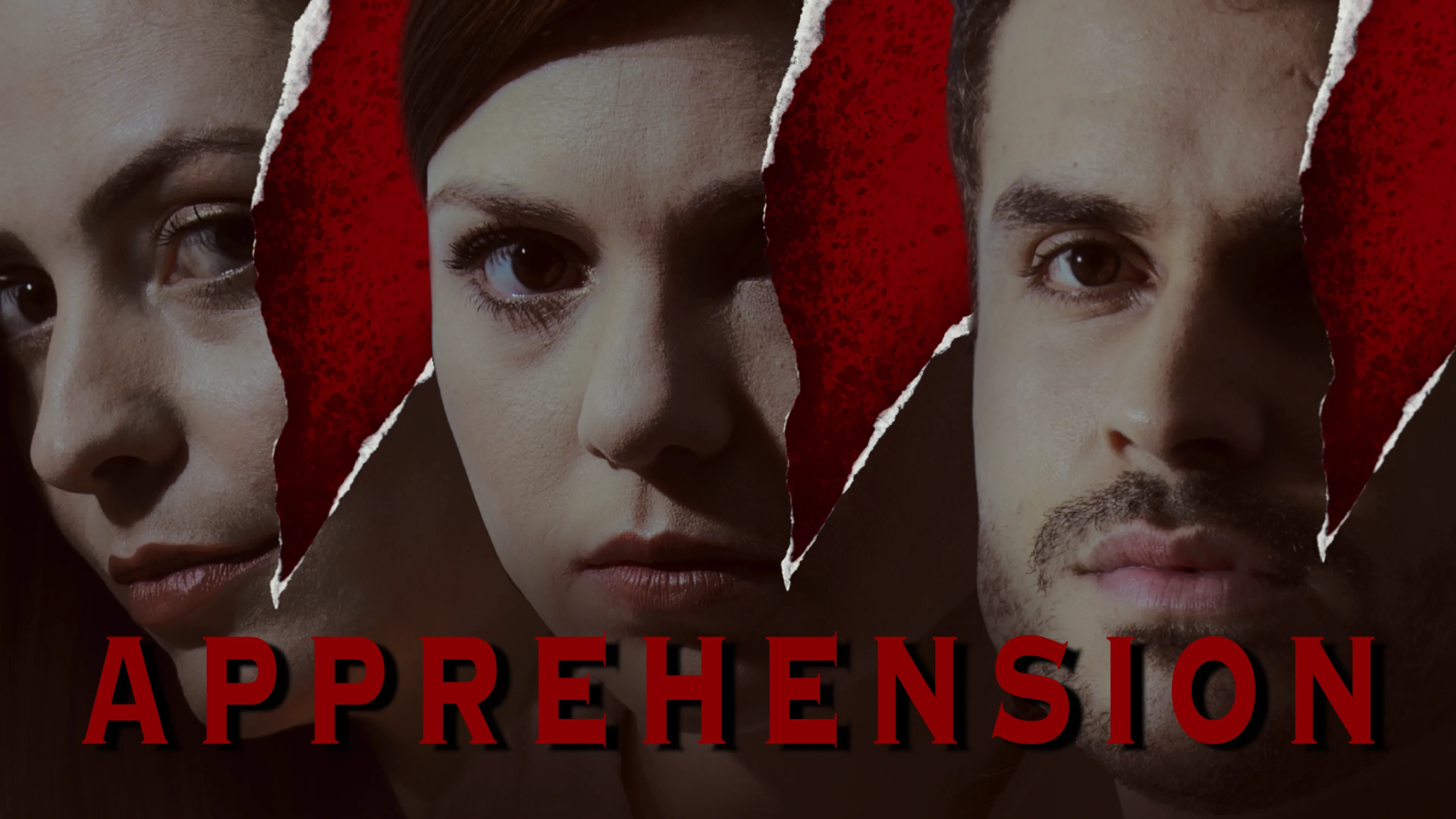 Apprehension poster